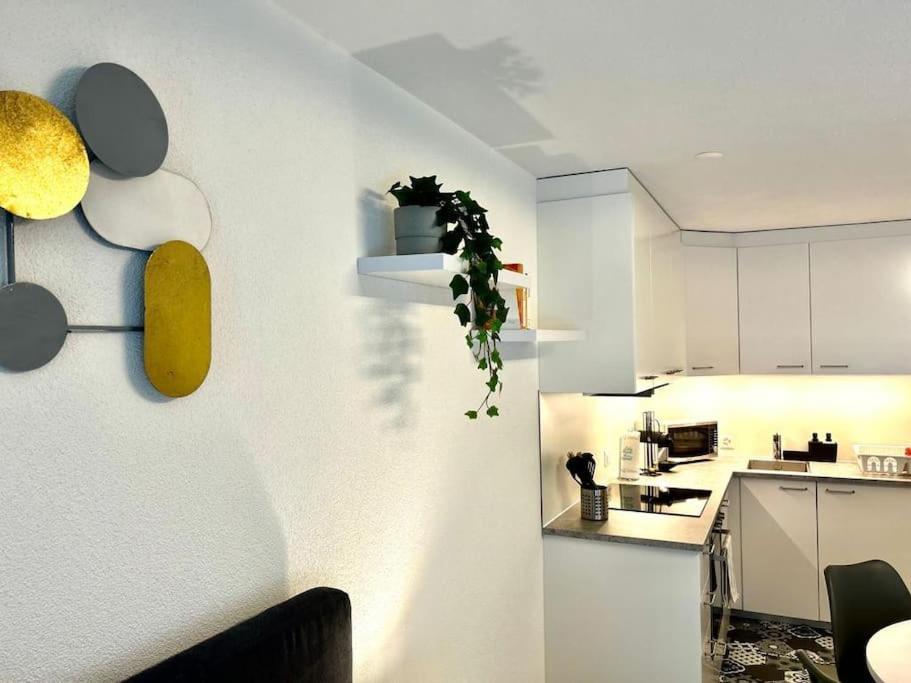 Casa Ambizione Apartment Dietikon Exterior photo