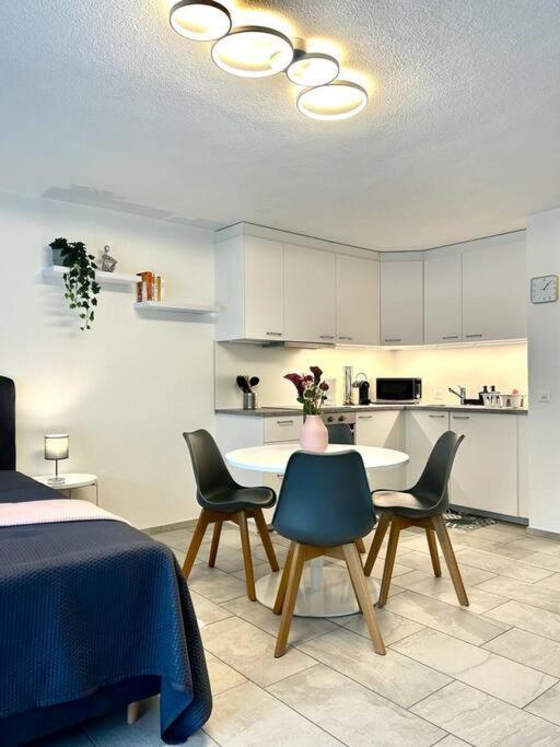 Casa Ambizione Apartment Dietikon Exterior photo